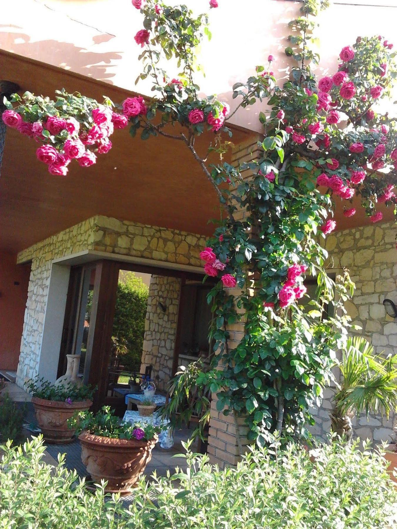 La Dolce Vita Montecchia di Crosara 외부 사진